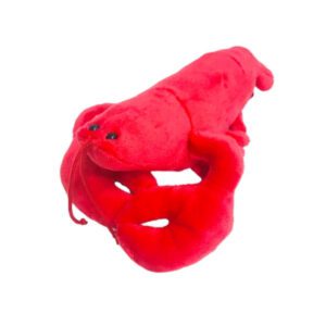 A red lobster is laying on top of it's head.