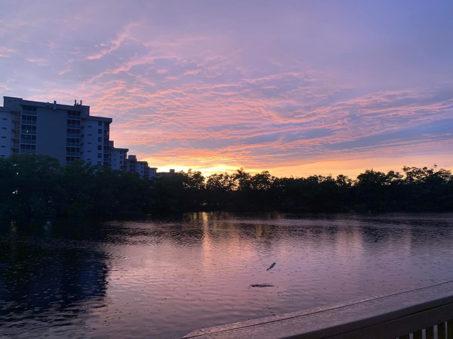 A body of water with buildings in the background.