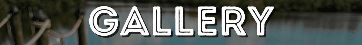 A close up of the word " elle ".